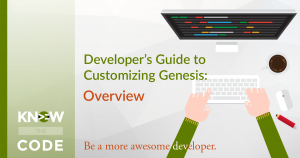 Developer’s Guide to Customizing Genesis: Overview