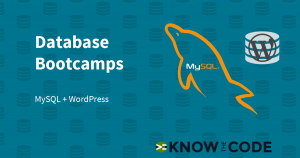 Database Bootcamps - WordPress + MySQL