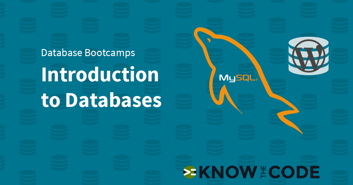 Introduction to Databases - WordPress