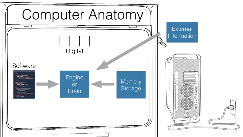 Computer Anatomy