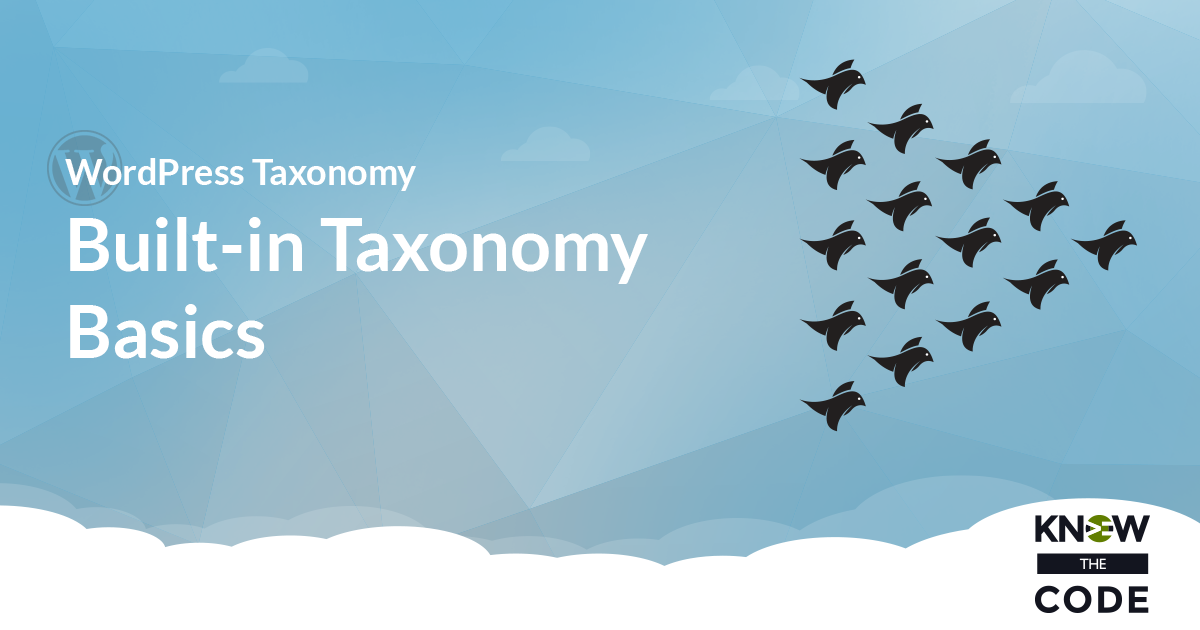 WordPress Built-in Taxonomy Basics